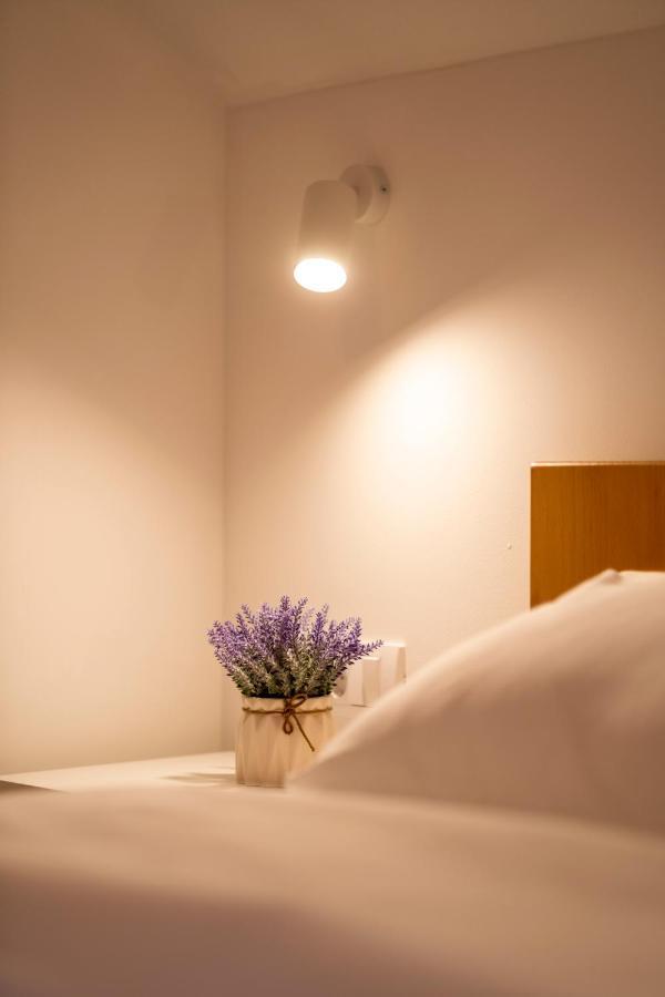 Petlov Salas Rooms Νόβι Σαντ Εξωτερικό φωτογραφία
